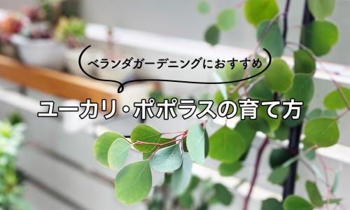 身上为什么莫名有划痕的感觉、身上为什么莫名的痒 -身上为什么莫名有划痕网